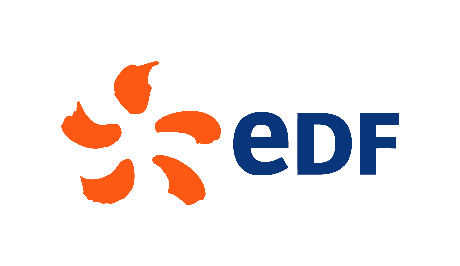 logo EDF RVB 002